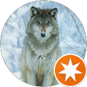 Serge Glibert profile picture