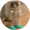 Anis Berrassoul profile picture