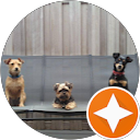 Dominique BRASSEUR profile picture